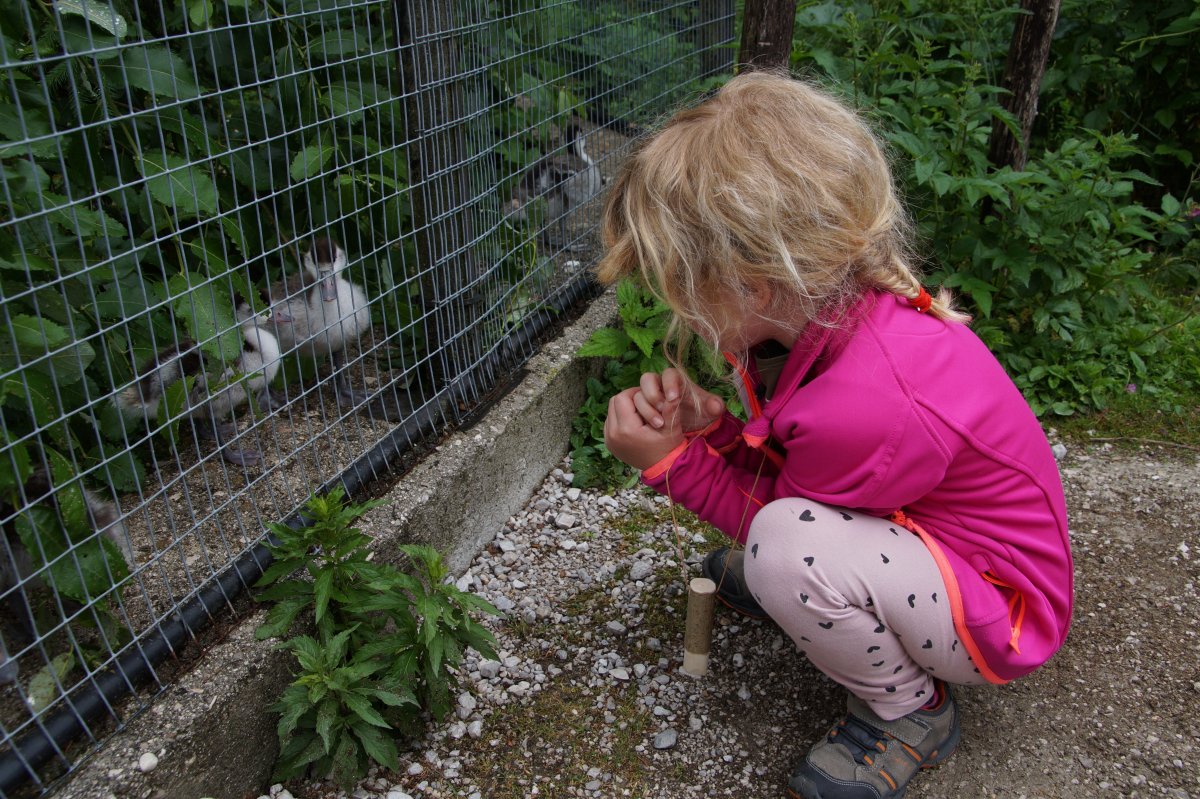 Wildpark 2019